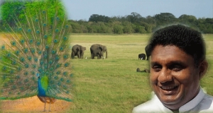 සජිත්, ඌව අතහැර විල්පත්තු විනෝද සවාරියේ
