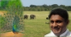 සජිත්, ඌව අතහැර විල්පත්තු විනෝද සවාරියේ