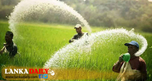 කන්න 2ක් සඳහා ගොවීන්ට බණ්ඩි පොහොර නොමිලේ