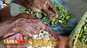 දේශීය කර්මාන්ත නගා සිටුවීමට රජය ගෙනයන වැඩපිළිවෙලට පැසසුම්