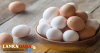 බිත්තර මිල 40 ට අඩු කරන්න පුලුවන්