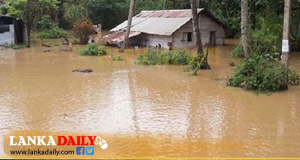 නිල්වලා ගඟේ ගල් බැම්ම උතුරා යාමේ අවදානමක්