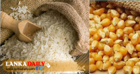 සහල් සහ ඉරිඟු ගෙන්වන්න කැබිනට් අනුමැතිය...